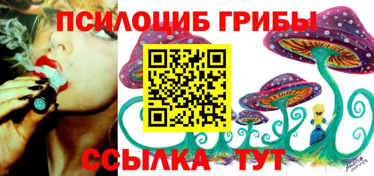 Галлюциногенные грибы MAGIC MUSHROOMS  Вход с VPN  Железногорск 