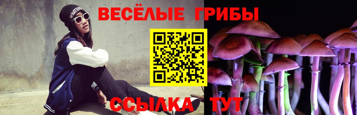 Галлюциногенные грибы ЛСД Железногорск